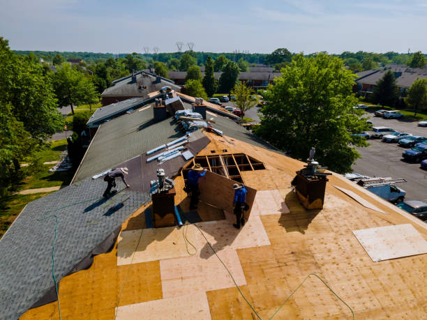 Roof Gutter Cleaning in Joshua, TX