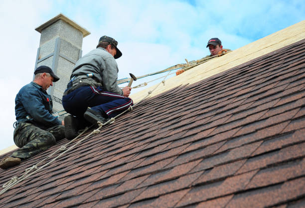 Best Storm Damage Roof Repair  in Joshua, TX
